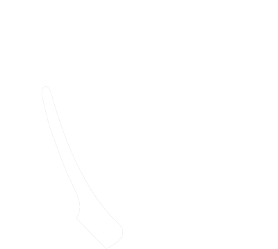 Accidental Aliens Logo