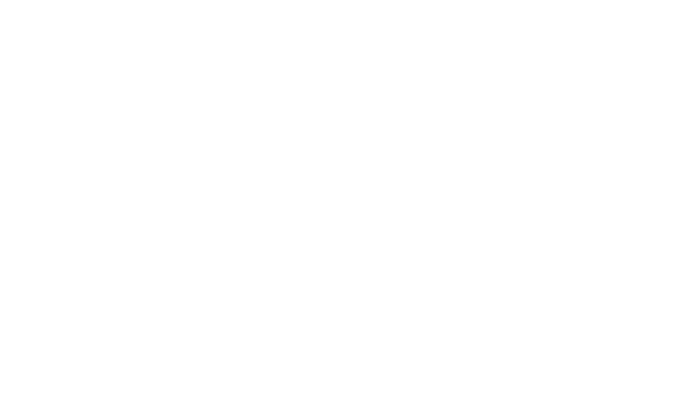 The Salve Logo White