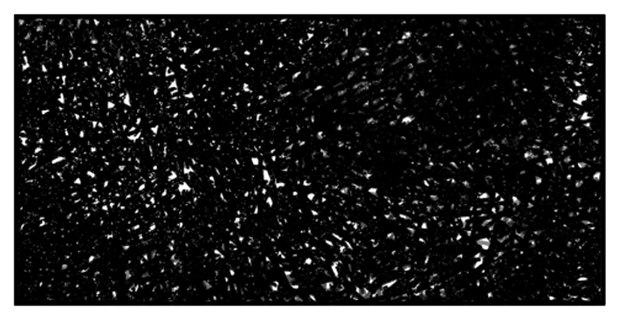 evehansen storyboard 9