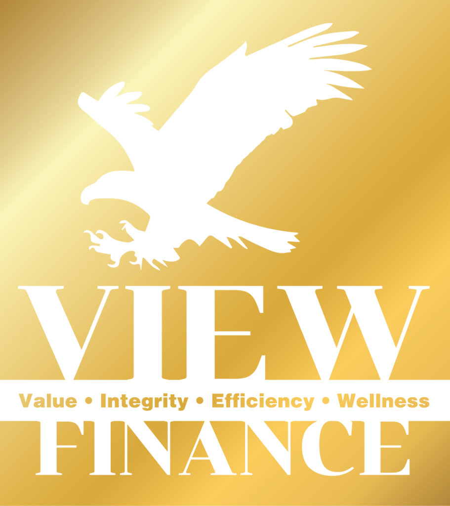 logo viewfinance 01