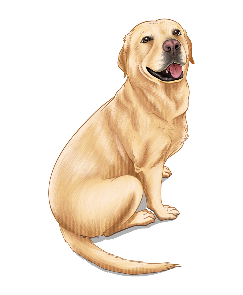 ColorByEmi Commissions Gallery Slideshow dog 01