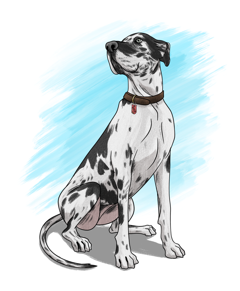 ColorByEmi Commissions Gallery Slideshow dog 02